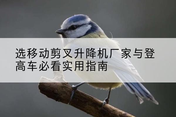 珲春电动升降机厂家-选移动剪叉升降机厂家与登高车必看实用指南