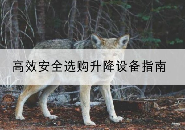 珲春升降货梯厂家推荐-*安全选购升降设备指南