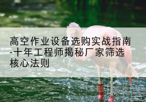 珲春剪叉式升降机厂家-高空作业设备选购实战指南-十年工程师揭秘厂家筛选核心法则